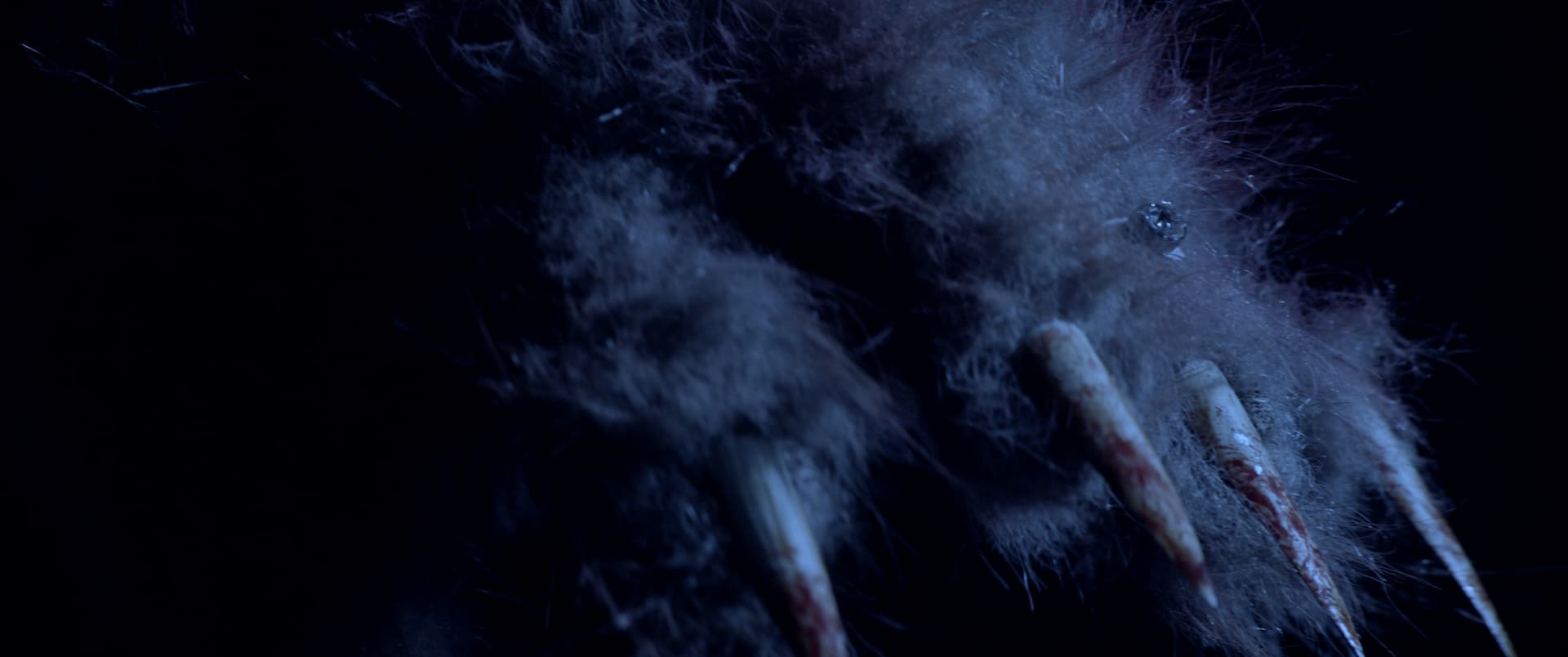 Full Moon, Baby! Production Still 2